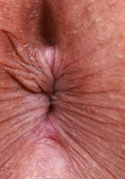 Alice Rebel from ATK Exotics