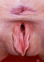 ATK Galleria: Avery Wilds (Long-haired Avery Wilds is getting even wilder)