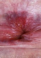 Avery Wilds from ATK Galleria