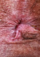 ATK Exotics: Naudi Nala (Naudi Nala Strips Down and Spreads Her Exotic Snatch)