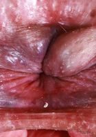 Dria Submits Spreads Bush and Tinkles from ATK Natural & Hairy Dria Submits from ATK Natural & Hairy