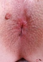 Harlow West from ATK Galleria