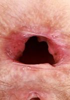 Jackie Hoff is sporting a wild bush from ATK Natural & Hairy Jackie Hoff from ATK Natural & Hairy