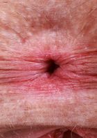 Juniper Ren from ATK Petites