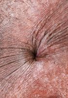 ATK Exotics: Poppy Cox (Poppy Cox Legs Wide Ass Up Spreading)