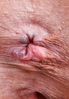 It's all pink for Salee Lee from ATK Petites Salee Lee from ATK Petites