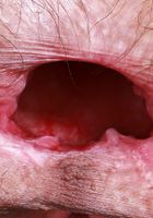 Sia Wood from ATK Natural & Hairy