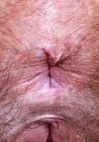 Violet Viper from ATK Natural & Hairy